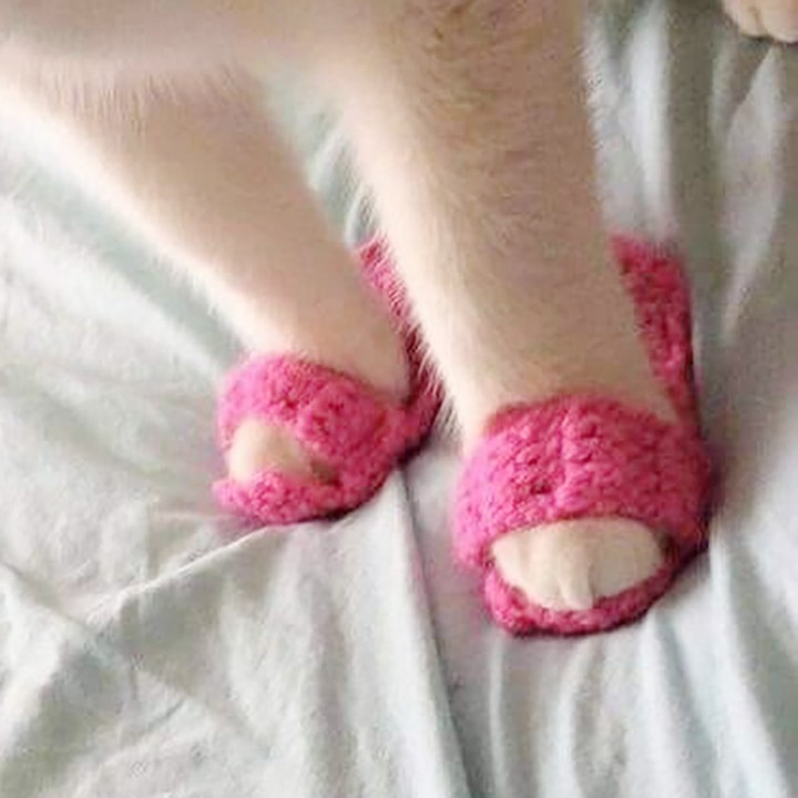 92C87A45-2517-477F-809F-5E5A5377C29E.jpeg : 네붕이 이따 일본어학원 처음우로 출석한다 92C87A45-2517-477F-809F-5E5A5377C29E.jpeg : 네붕이 이따 일본어학원 처음우로 출석한다