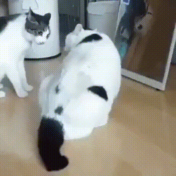 1579175361.gif : 오늘일찍네야할까 1579175361.gif : 오늘일찍네야할까