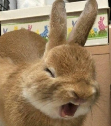 20201006_123120.jpg : 네, 네흥쿤!!! 20201006_123120.jpg : 네, 네흥쿤!!!