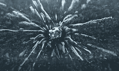 1672628168218.gif : 방사능 1672628168218.gif : 방사능