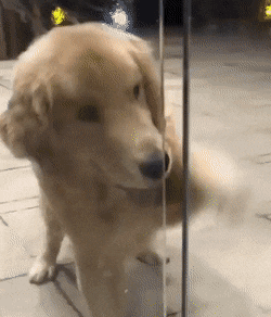 20190514190653_1558176b647b4dfa432516a8093eec90_mc4x.gif : 생각보다 주변에 해외 안가본 친구 많더라 20190514190653_1558176b647b4dfa432516a8093eec90_mc4x.gif : 생각보다 주변에 해외 안가본 친구 많더라