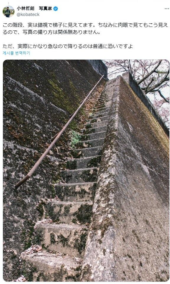 IMG_20250319_235803_564.jpg : 천국의 계단 IMG_20250319_235803_564.jpg : 천국의 계단