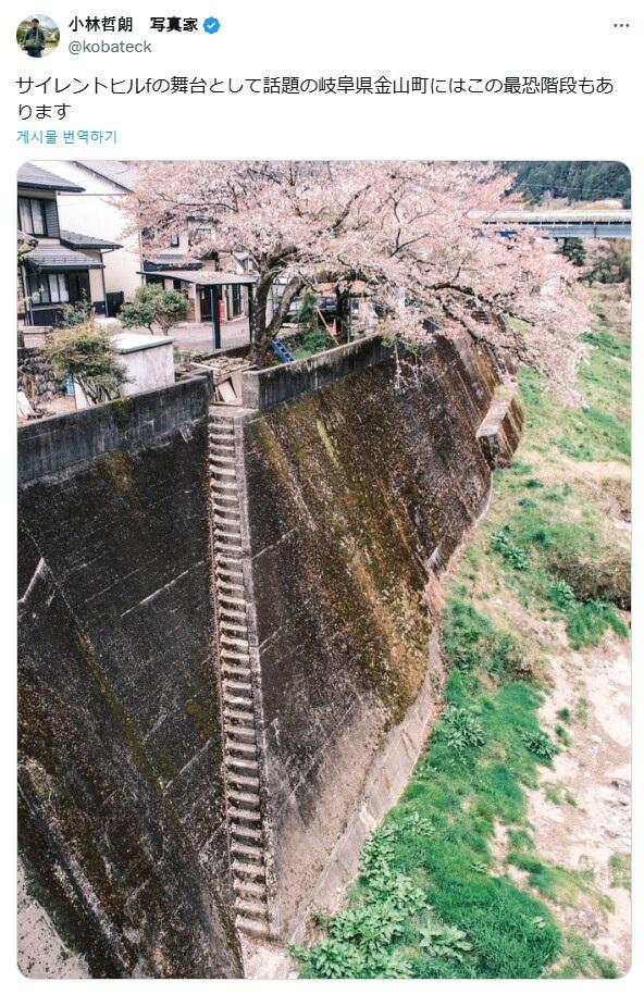 IMG_20250319_235801_524.jpg : 천국의 계단 IMG_20250319_235801_524.jpg : 천국의 계단