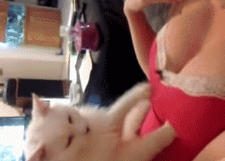1557932312915.gif : 고뇌의 밤 1557932312915.gif : 고뇌의 밤