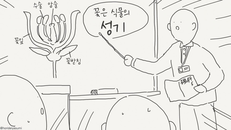 6e98035e9c10919d5f14dc22a8e81781.jpg : 꽃은 식물의 성기 6e98035e9c10919d5f14dc22a8e81781.jpg : 꽃은 식물의 성기