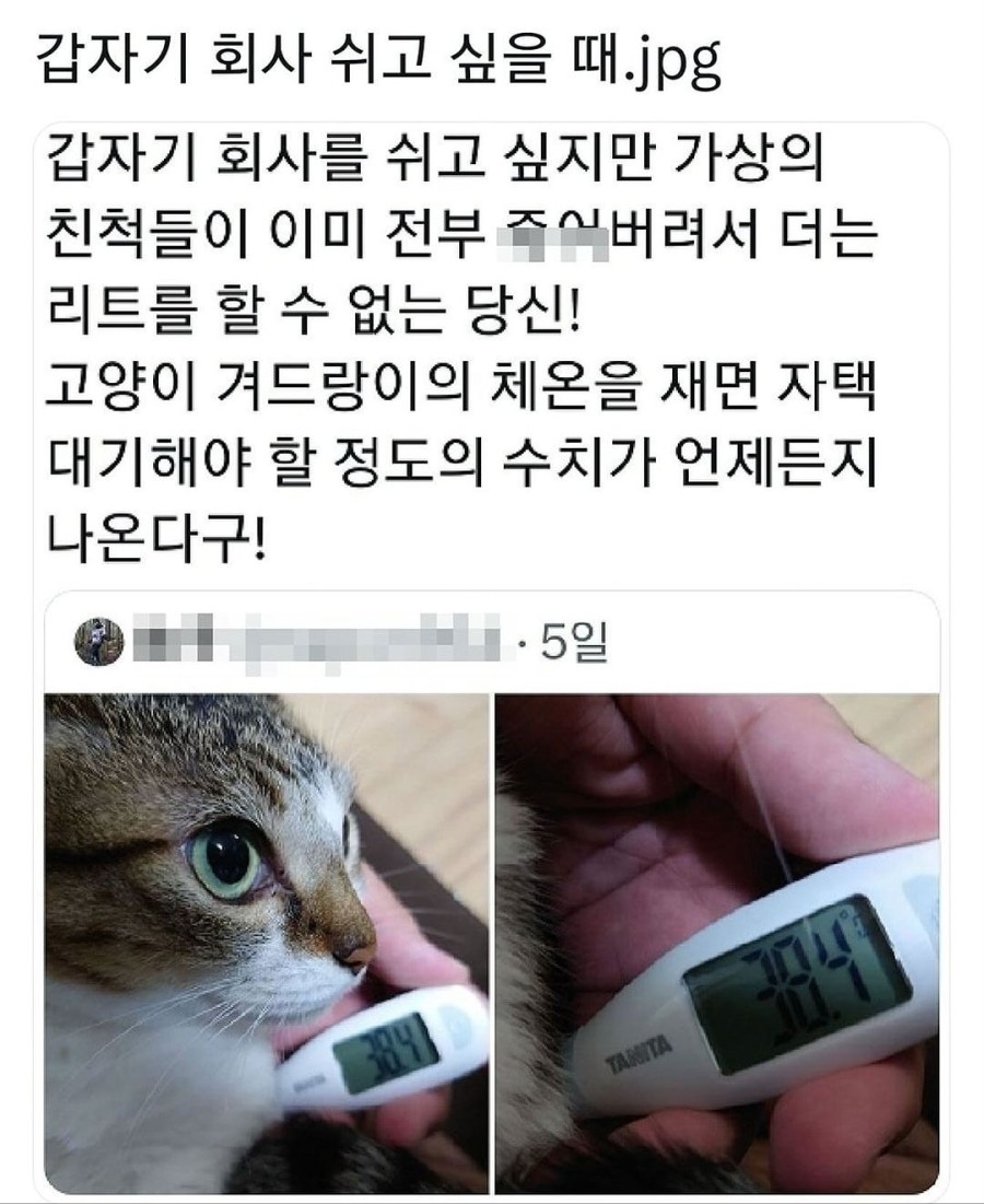 1701926633828.jpg : 회사 쉬고 싶을 때 개꿀팁 1701926633828.jpg : 회사 쉬고 싶을 때 개꿀팁