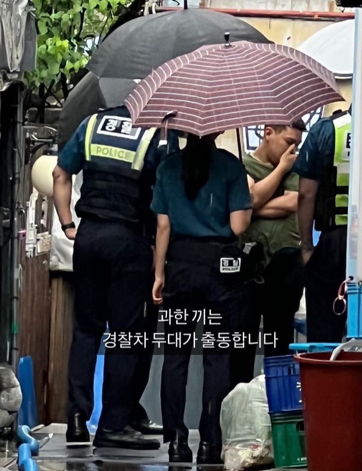 72AC9E15-9D04-42E5-A9AE-7079A21076C8.jpeg : 노트북 판 이유 72AC9E15-9D04-42E5-A9AE-7079A21076C8.jpeg : 노트북 판 이유