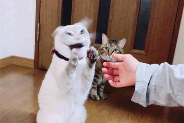 1642776520.jpg : 오늘 100글 넘었네? 1642776520.jpg : 오늘 100글 넘었네?