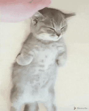 1606499393.gif : 마사지 받으실 시간이에요 1606499393.gif : 마사지 받으실 시간이에요