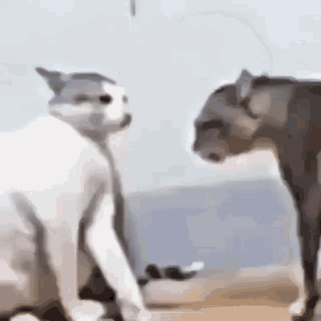 1713430321.gif : 하아.. 딸딸스 치고싶은데 1713430321.gif : 하아.. 딸딸스 치고싶은데