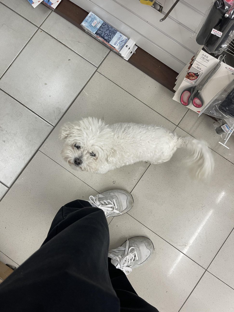 BA423605-6808-44BE-B09E-AA259C541185.jpeg : 깡촌 낚시방 특 BA423605-6808-44BE-B09E-AA259C541185.jpeg : 깡촌 낚시방 특