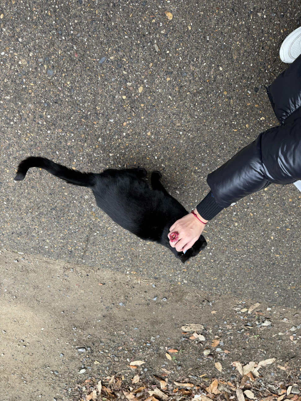 IMG_9034.jpeg : 네흥 신사 IMG_9034.jpeg : 네흥 신사