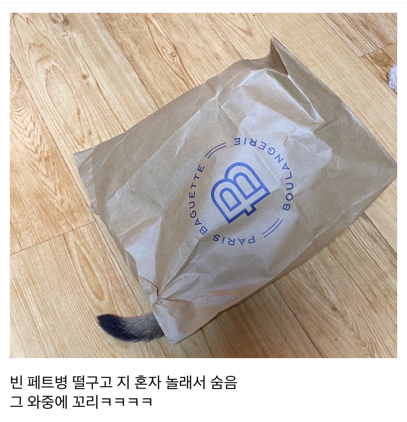D2DB7A73-7F51-4D77-8394-FF3F5E60EDFF.jpeg : 넹이 오랜만에 데레스테 하는데 D2DB7A73-7F51-4D77-8394-FF3F5E60EDFF.jpeg : 넹이 오랜만에 데레스테 하는데