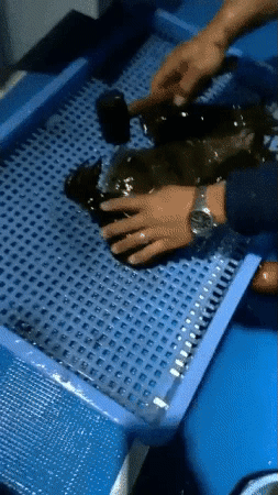 1605909850-1.gif : 이거개신기함 1605909850-1.gif : 이거개신기함