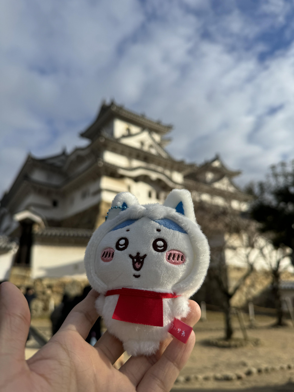 IMG_9078.jpeg : 네흥 스폿 IMG_9078.jpeg : 네흥 스폿