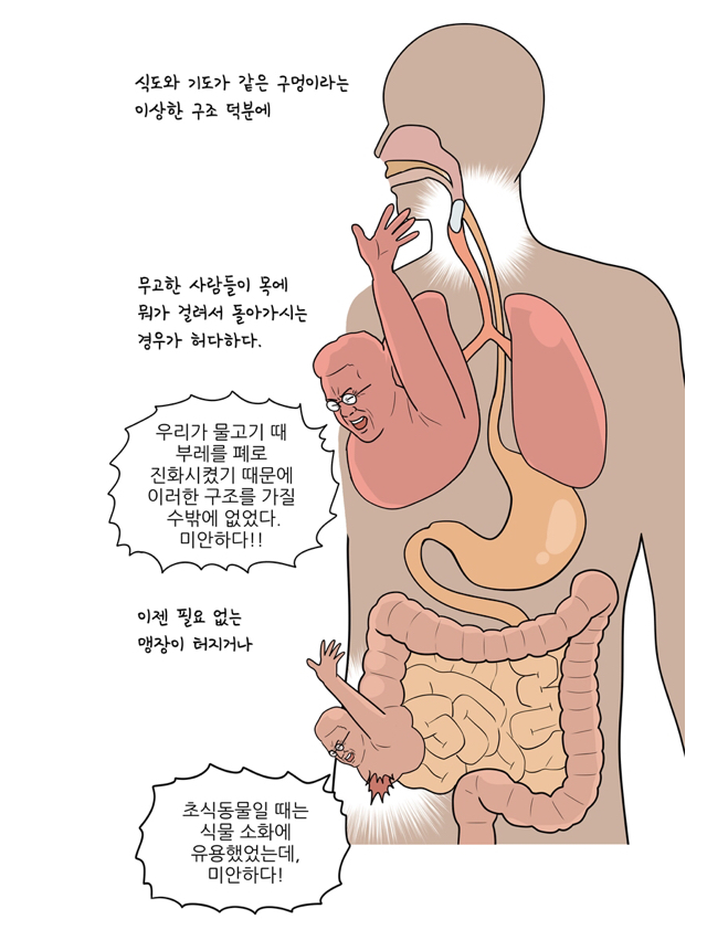F0CF878C-E89B-469B-87F5-5F30A7C3B7E3.jpeg : 카연갤 만화 보는데 재미이따 F0CF878C-E89B-469B-87F5-5F30A7C3B7E3.jpeg : 카연갤 만화 보는데 재미이따