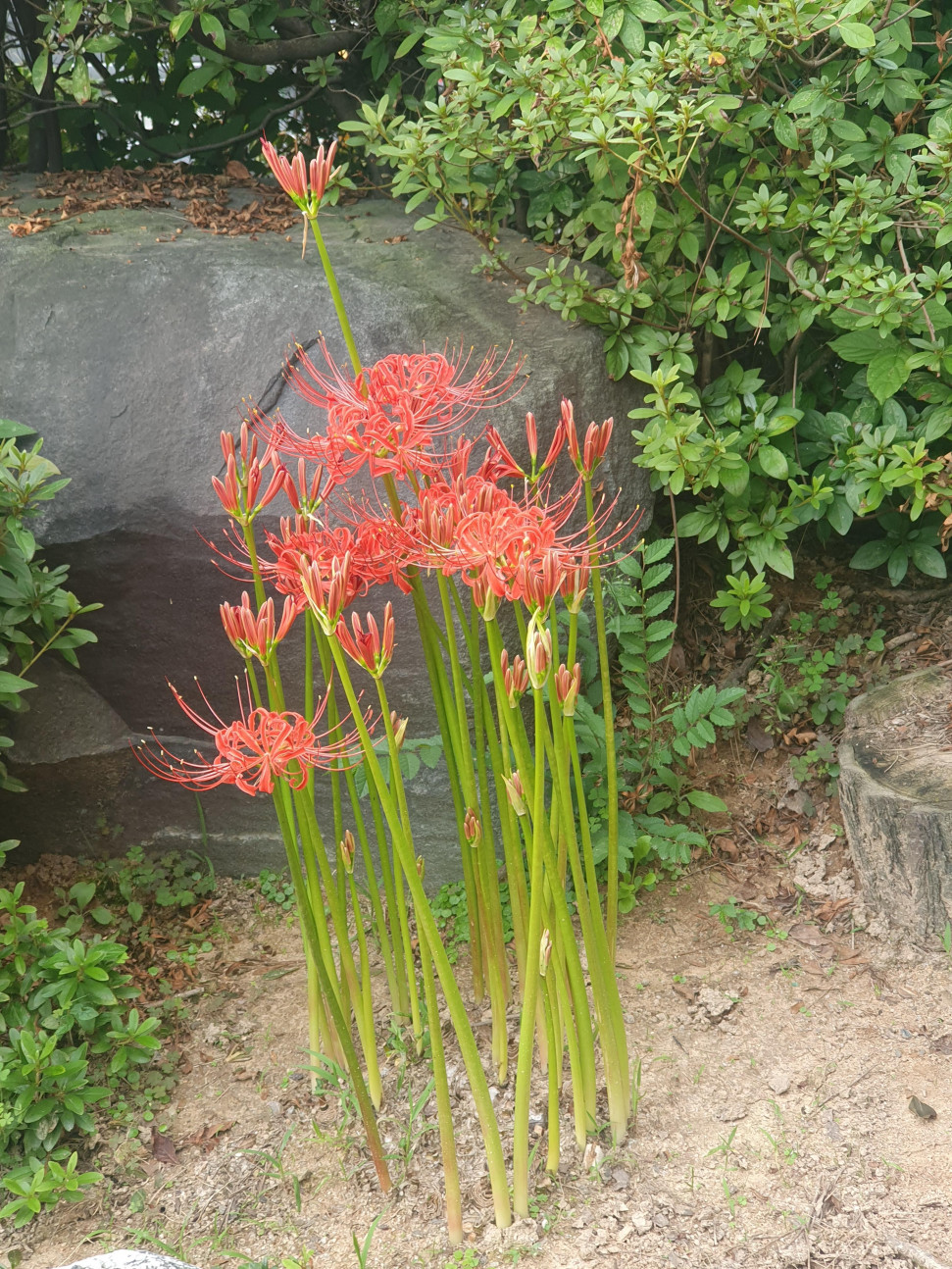 20220914_171427.jpg : 오 또 발견 20220914_171427.jpg : 오 또 발견