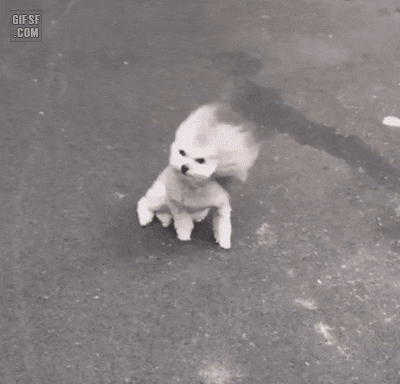 1681635757665.gif : 바람풍~! 1681635757665.gif : 바람풍~!