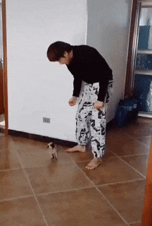 다운로드 (13).gif : 자다 깸 다운로드 (13).gif : 자다 깸