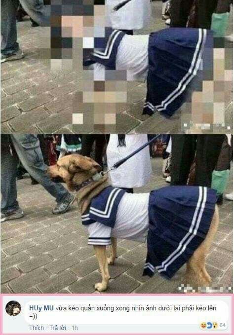 1643719652735.jpg : 모자이크가 위험한 이유 1643719652735.jpg : 모자이크가 위험한 이유