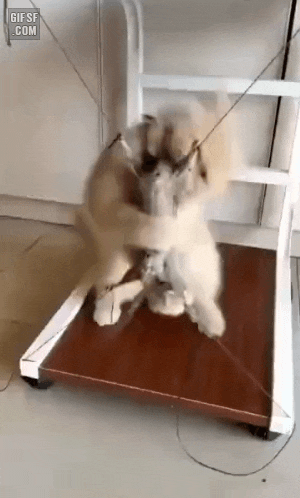 1605909850.gif : 찍찍이 너무조아! 1605909850.gif : 찍찍이 너무조아!