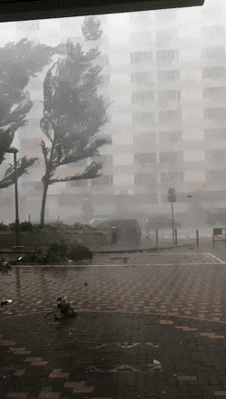 1662396057850.gif : 이거 멋지다 1662396057850.gif : 이거 멋지다