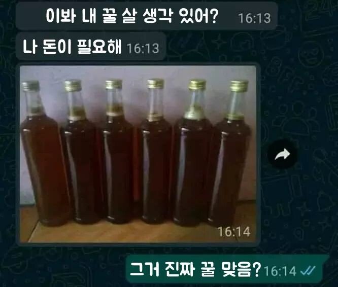 1722b7310744bdd0e.jpg : 벌꿀 1722b7310744bdd0e.jpg : 벌꿀