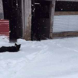 1672754773030.GIF : 자 드가자