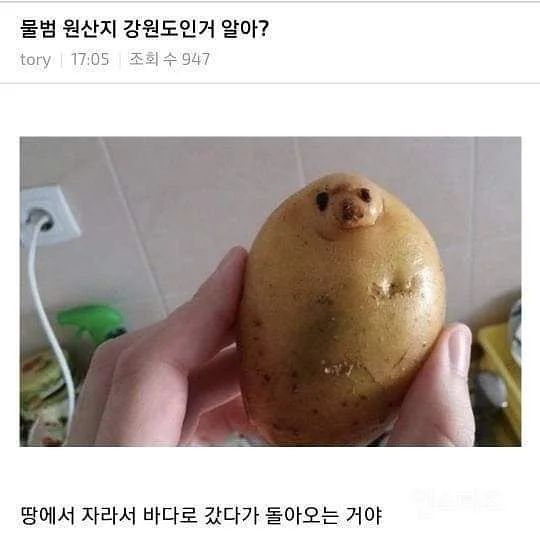 C21BD7FC-1CED-4276-95FE-A96557552289.jpeg : 100%노자키군 C21BD7FC-1CED-4276-95FE-A96557552289.jpeg : 100%노자키군