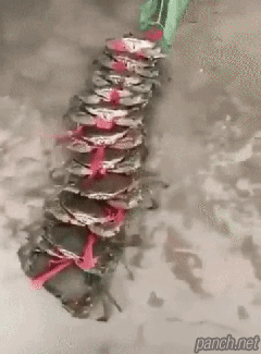 9319a40e5e9875f9fcc740f725f72950104857.gif : 집단게이동영상 9319a40e5e9875f9fcc740f725f72950104857.gif : 집단게이동영상