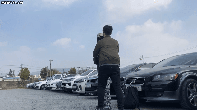 DCC00A78-2EDA-49CE-9D8A-9995690F3D5A.gif : 오늘자 메이플갤러리 현피 DCC00A78-2EDA-49CE-9D8A-9995690F3D5A.gif : 오늘자 메이플갤러리 현피