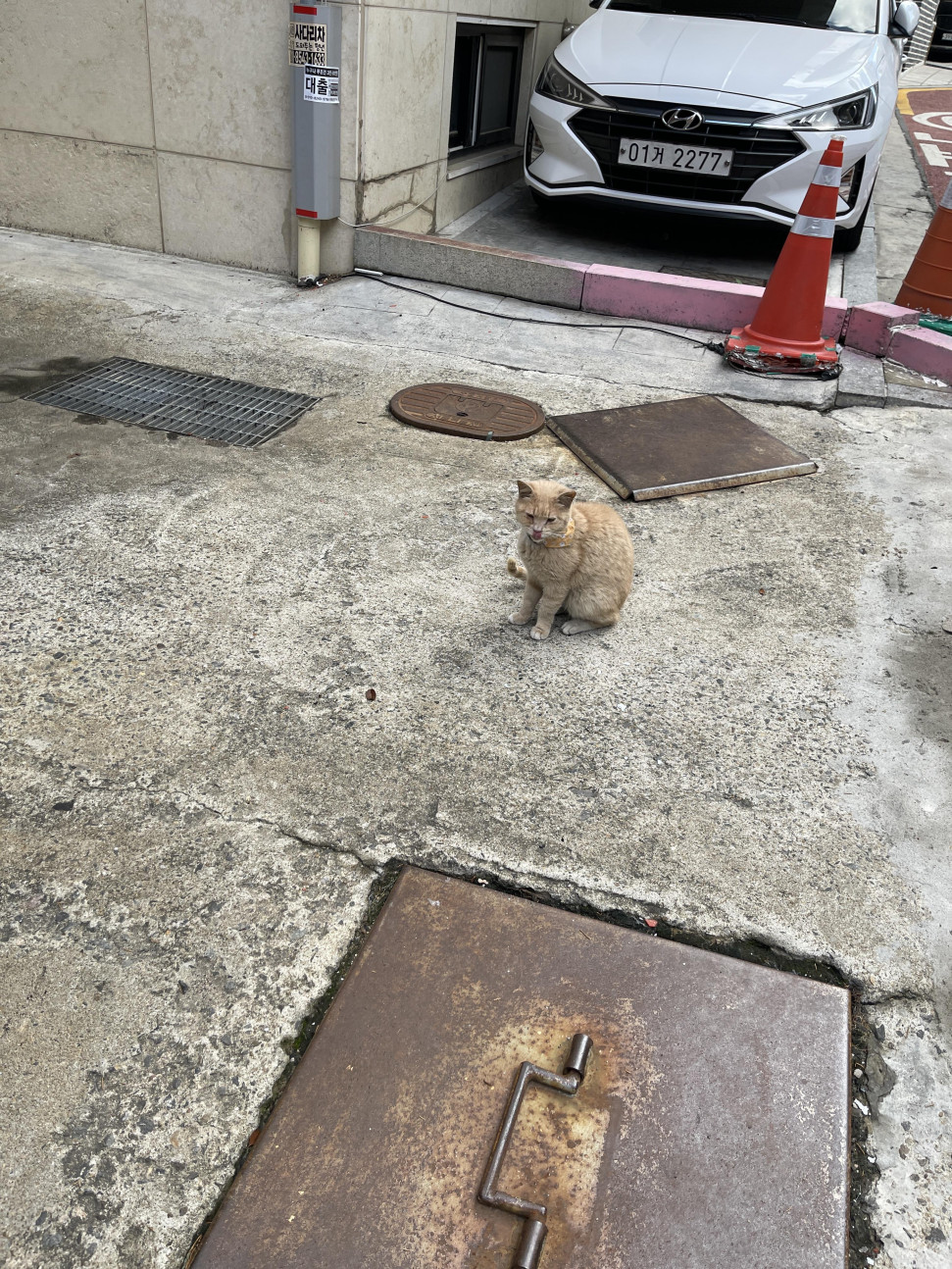 IMG_5828.jpeg : 오늘 무셔운 꿈 꿧어 IMG_5828.jpeg : 오늘 무셔운 꿈 꿧어