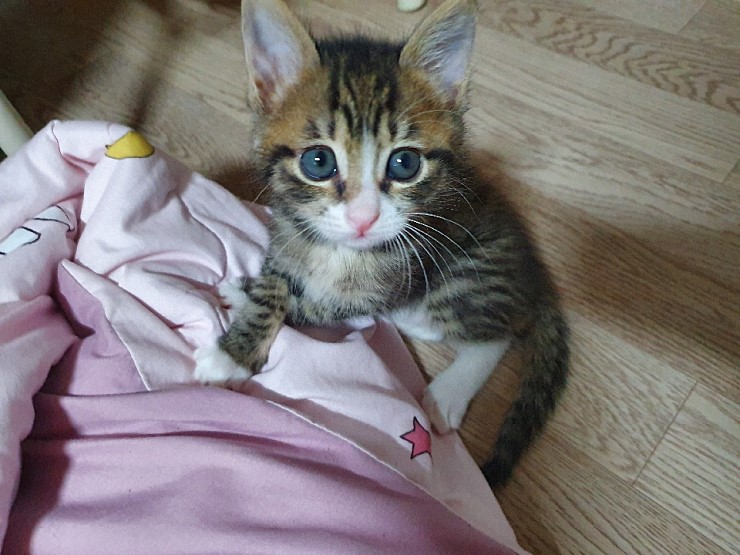 externalFile (10).jpg : 꺼~~~~억 externalFile (10).jpg : 꺼~~~~억