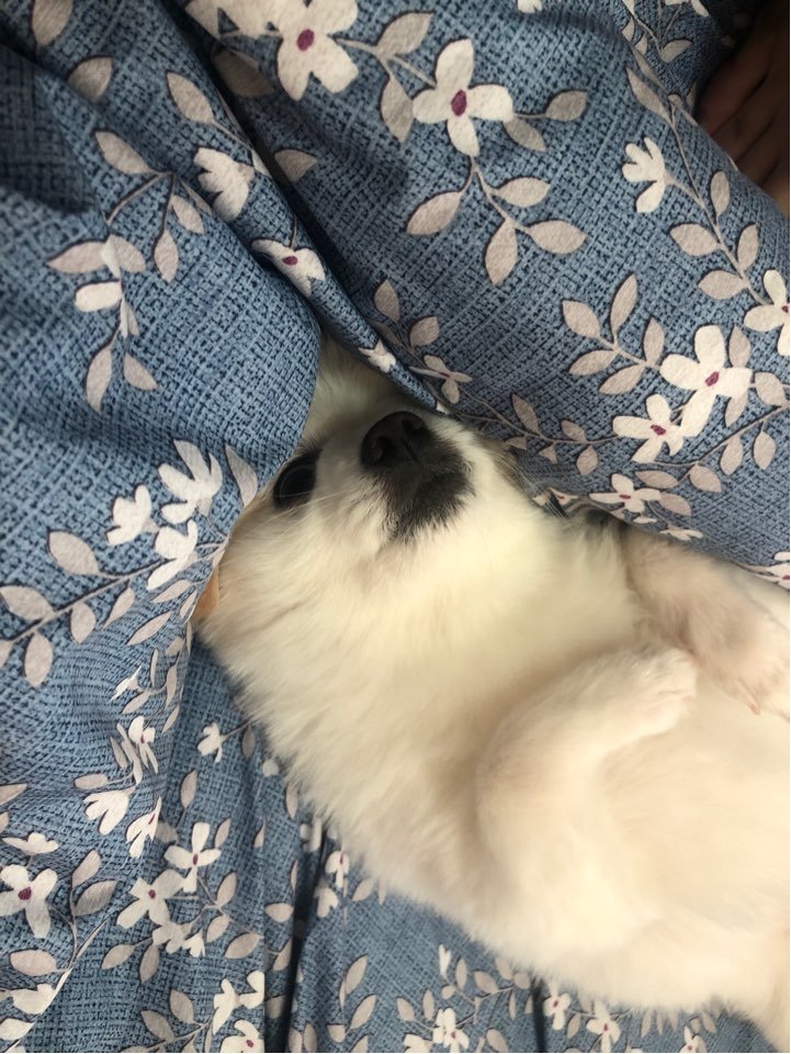 1606299845.jpg : 도시가 따땃해서 겨울에도 모기가 있는 건가ㅡ? 1606299845.jpg : 도시가 따땃해서 겨울에도 모기가 있는 건가ㅡ?