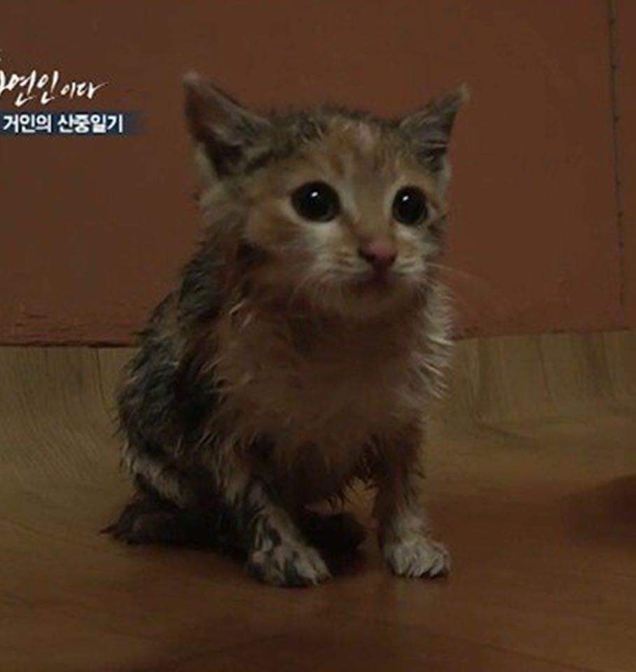 67627416_501378257286204_3486557728229294080_n.jpg : 와 데레스테 스나즈카 아키라 떴다 67627416_501378257286204_3486557728229294080_n.jpg : 와 데레스테 스나즈카 아키라 떴다