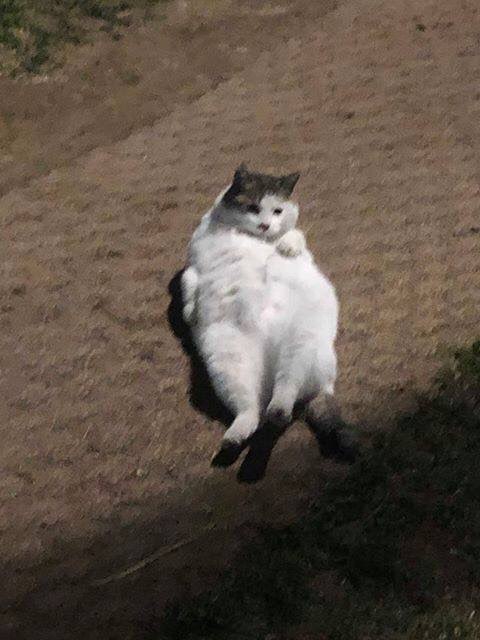 1565059531586.jpg : 어이 100글은 아직인가 1565059531586.jpg : 어이 100글은 아직인가