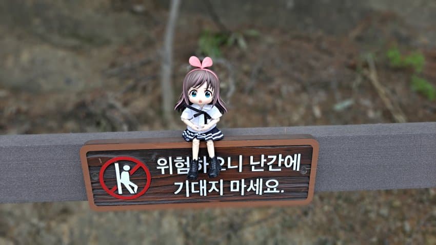 D89A5DBE-3716-44E6-8AB2-9BB4F32EBD5C.jpeg : 운영진 요즘 뭐하는지 알아냈다 D89A5DBE-3716-44E6-8AB2-9BB4F32EBD5C.jpeg : 운영진 요즘 뭐하는지 알아냈다