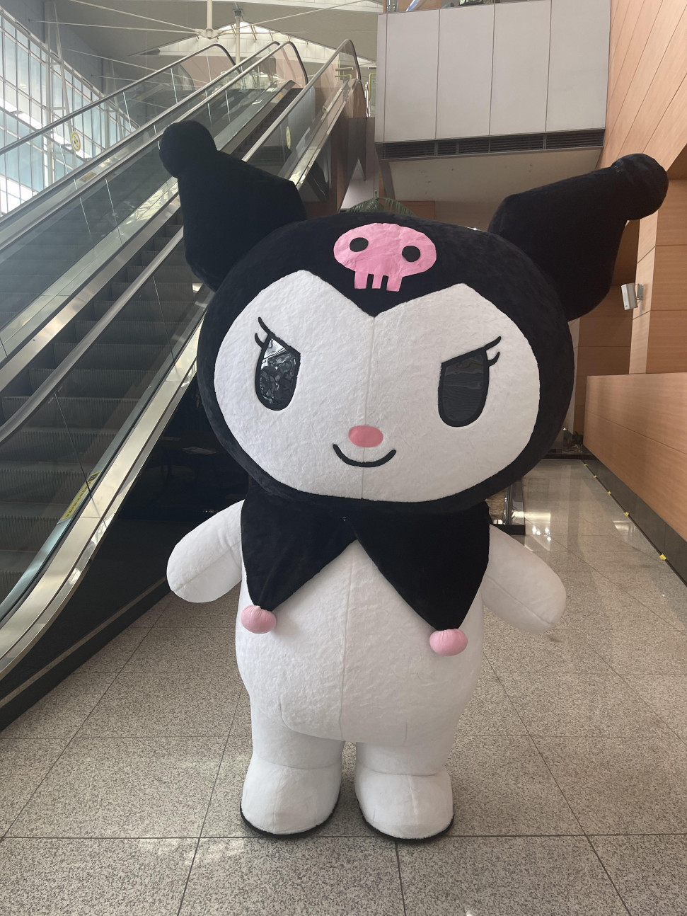 IMG_7515.jpeg : 나이 먹었는지 힘들다 IMG_7515.jpeg : 나이 먹었는지 힘들다
