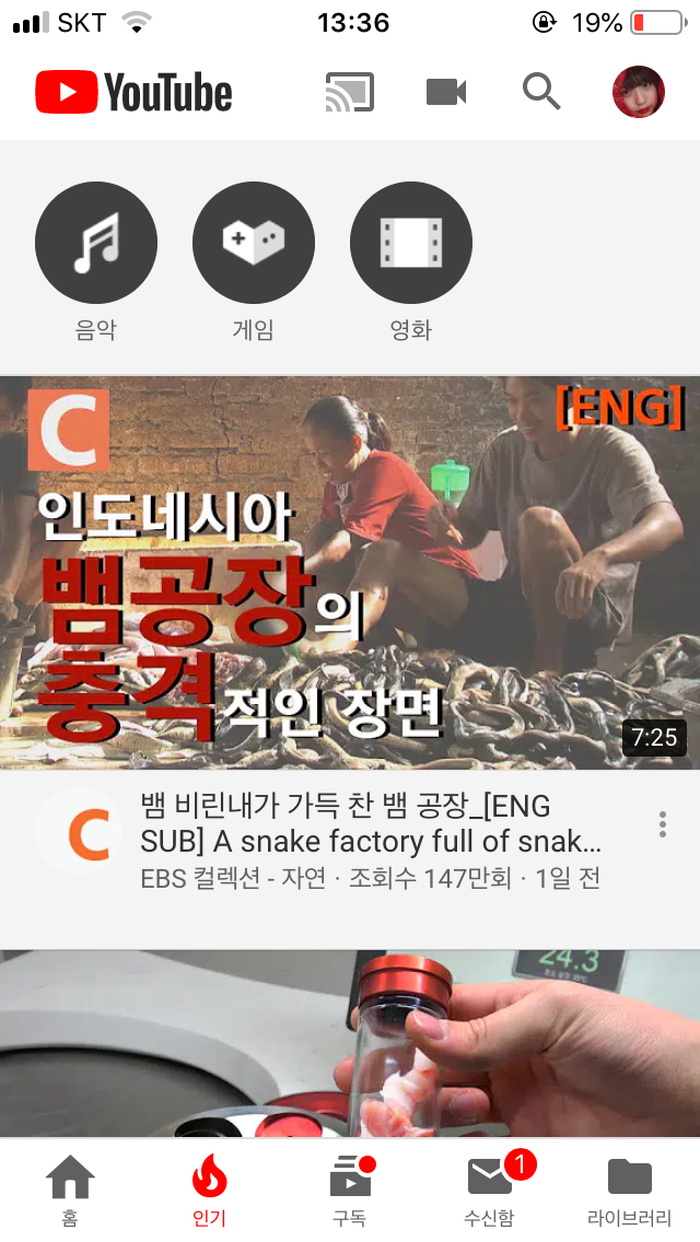 F5E93488-40F8-4AFC-AD6F-D2ED7C925375.png : EBS가 피숑피숑하네 F5E93488-40F8-4AFC-AD6F-D2ED7C925375.png : EBS가 피숑피숑하네