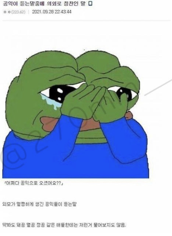 E8932EC5-01F1-490C-B03E-A207DF6D2B04.jpeg : 어쩌다 공익으로 오셨어요? E8932EC5-01F1-490C-B03E-A207DF6D2B04.jpeg : 어쩌다 공익으로 오셨어요?