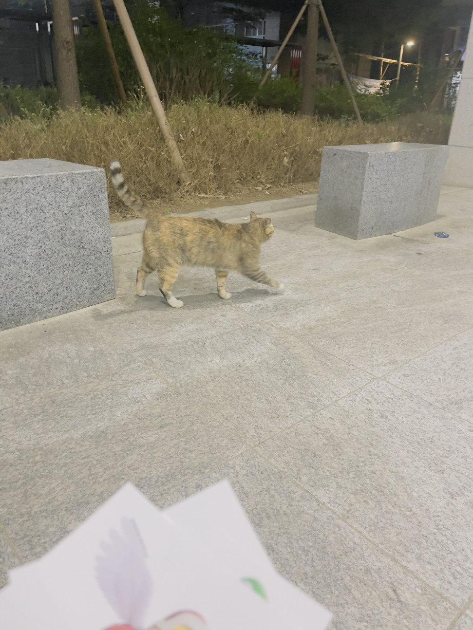 IMG_5511.jpeg : 친해지기 힘들어 보인다 IMG_5511.jpeg : 친해지기 힘들어 보인다