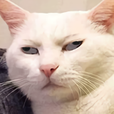 1967f47348b54f231.png : 하아 흡연충 새끼들 낭만 부수네 1967f47348b54f231.png : 하아 흡연충 새끼들 낭만 부수네