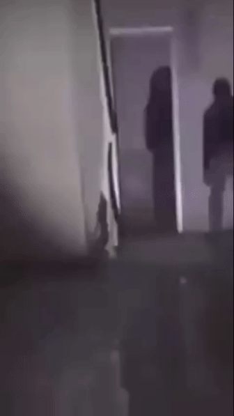 1745798233.gif : 평소에는이준석뽑는다고하면거품물고발작햇을텐데 1745798233.gif : 평소에는이준석뽑는다고하면거품물고발작햇을텐데