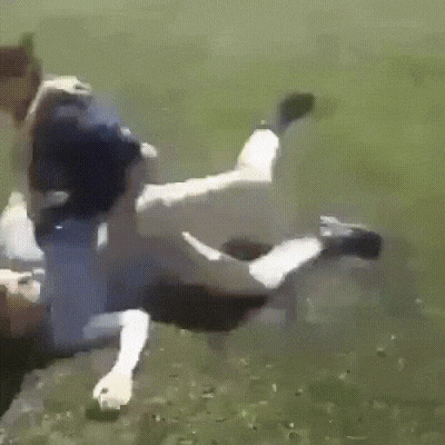 1643736527.gif : 아시는분 국힘 공천받았네 1643736527.gif : 아시는분 국힘 공천받았네