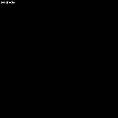 1555436648027.gif : 거북.gif 1555436648027.gif : 거북.gif