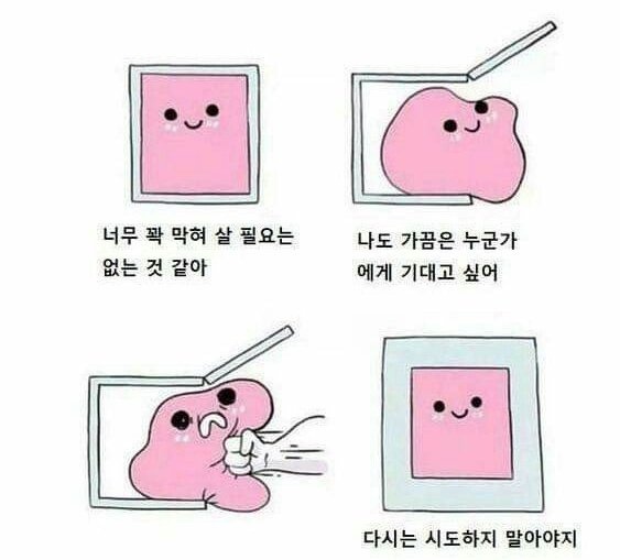 1709129008968.jpg : 죽고만두 1709129008968.jpg : 죽고만두