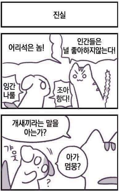 61523193_2155595184556971_8311498837227208704_n.jpg : 흠.. 잠만 자다가 토요일이 지났다 61523193_2155595184556971_8311498837227208704_n.jpg : 흠.. 잠만 자다가 토요일이 지났다