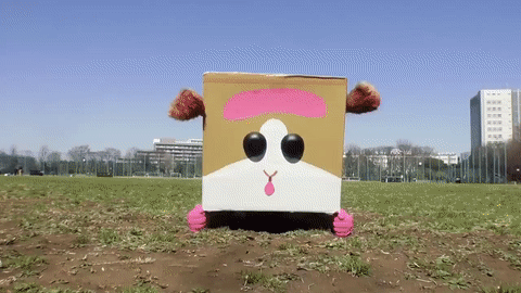 b0040388_607566d4e29b6.gif : 안전문자 개씨발같은거 차단했다 b0040388_607566d4e29b6.gif : 안전문자 개씨발같은거 차단했다