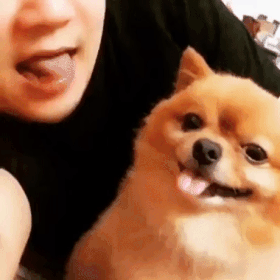 1575309919.gif : 넹이 아직안자요 1575309919.gif : 넹이 아직안자요