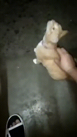 1583600538.gif : 오르가즘 절정 짤 1583600538.gif : 오르가즘 절정 짤